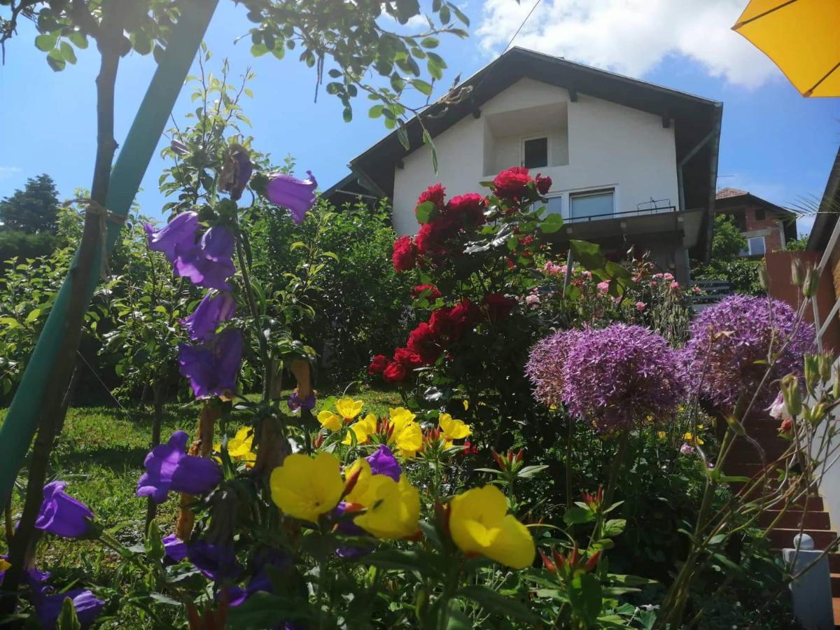 Smjestaj Bahat Varazdinske Toplice Exteriör bild